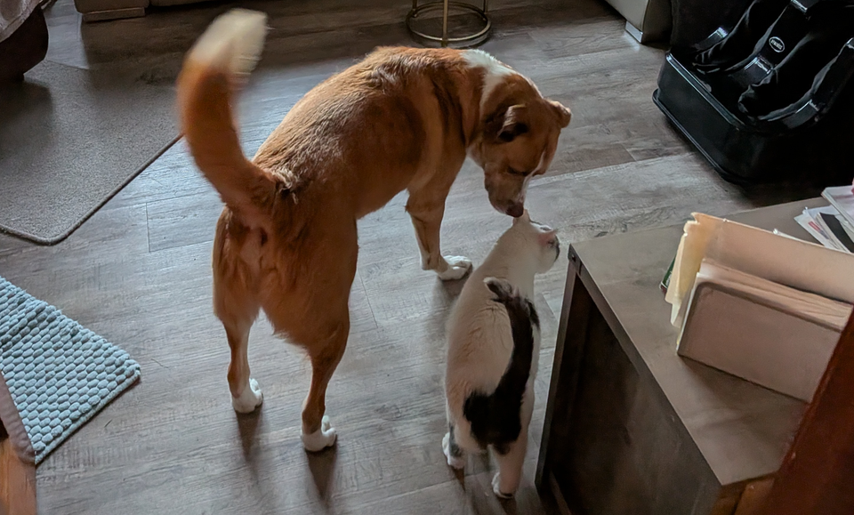 Reunited!